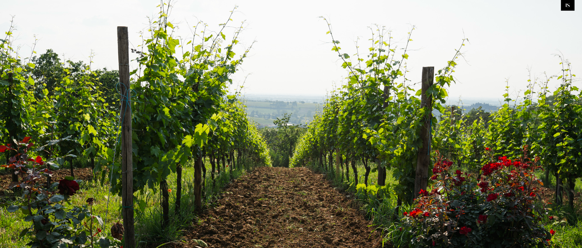 Vivere (nel)l'Oltrepò