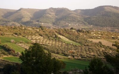 Turismo esperienziale per scoprire l’isola nascosta: nasce il progetto Trip Sicilia che punta sul territorio degli Iblei compreso tra Catania, Ragusa e Siracusa.